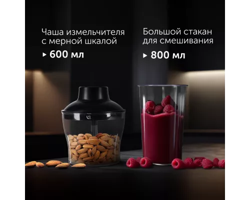 Блендер RED SOLUTION HB2902