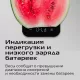 Весы кухонные RED SOLUTION SM726