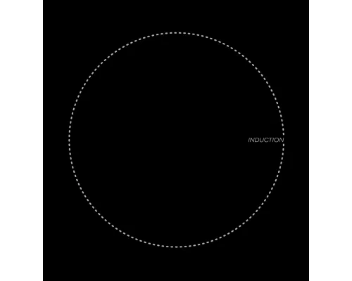 Индукционная варочная поверхность LEX EVI 320 BL