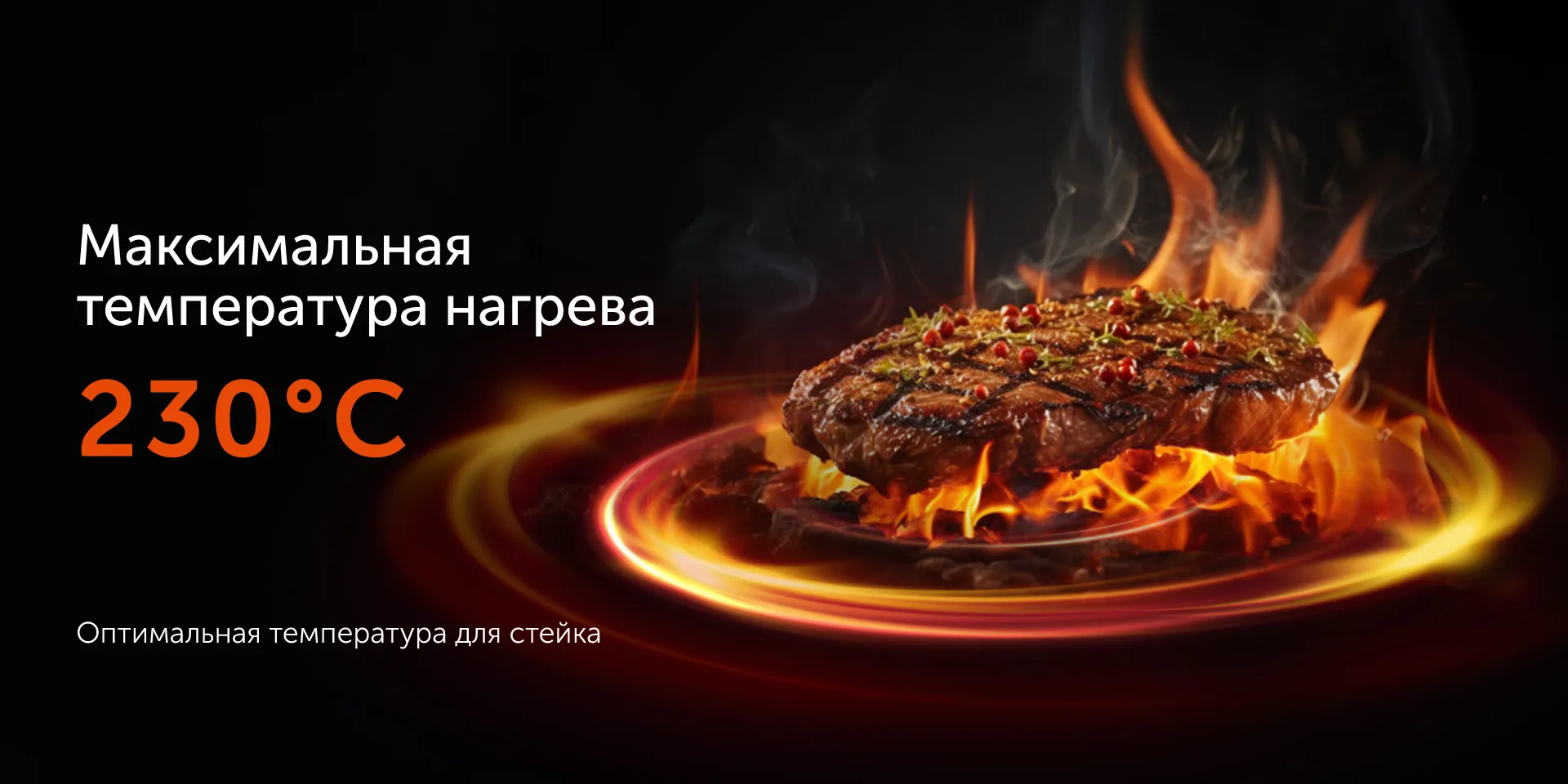Гриль RED evolution SteakPRO RGM-M81
