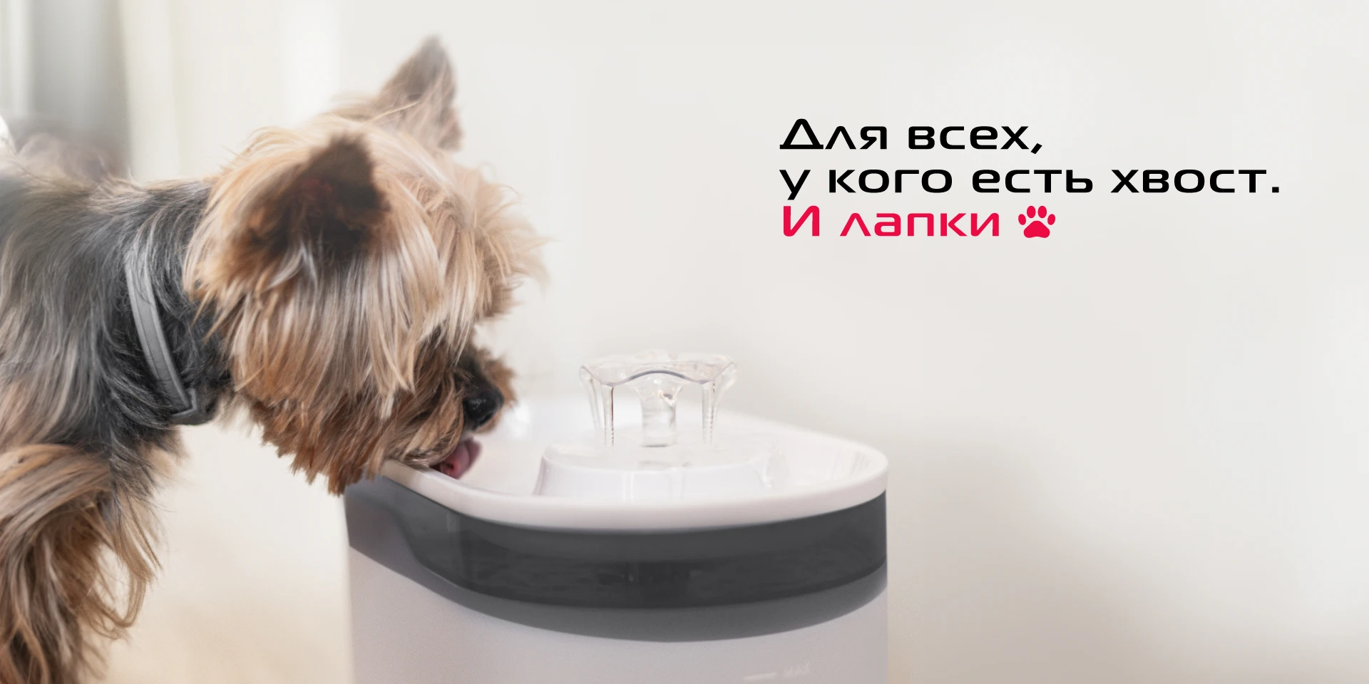 Поилка-фонтан для животных RED SOLUTION RED FOR PETS 02