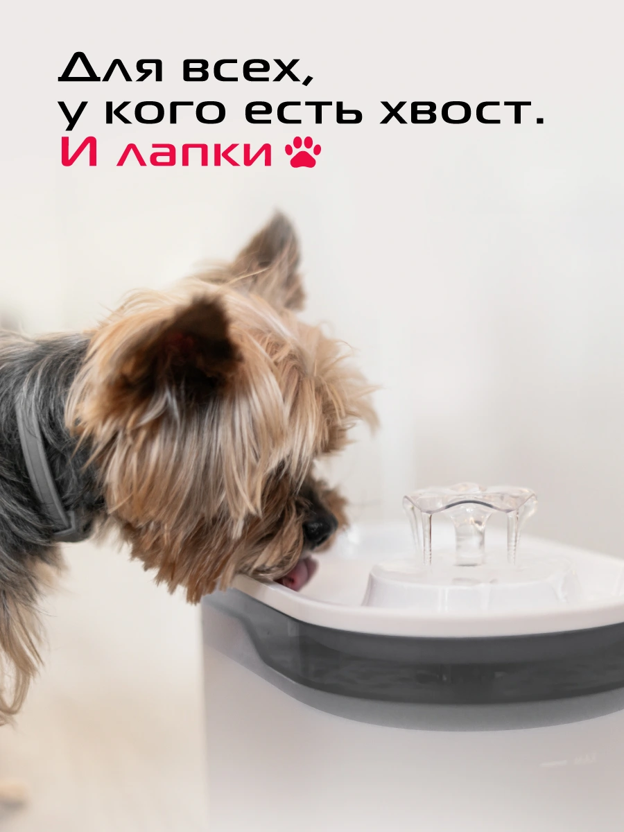 Поилка-фонтан для животных RED SOLUTION RED FOR PETS 02